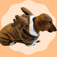 Load image into Gallery viewer, Dachshund ‘Baby Reindeer’ Onesie Outfit/Costume