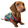 Load image into Gallery viewer, Sausage Dog Box Christmas Gingerbread Tee