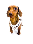 Load image into Gallery viewer, Sausage Dog Box, Dachshund Leopard Cute Cosy Dachshund PJ's Jumper