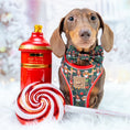 Load image into Gallery viewer, Sausage Pole Anti-Rub Dachshund Christmas Harness