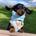 Load image into Gallery viewer, Anti-Rub Sausage Dog Harness - Up Up & Away