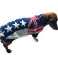 Load image into Gallery viewer, Sausage Dog Box Dachshund Flag Jumper