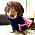 Load image into Gallery viewer, Sausage Dog Box Dachshund Jumper - Zig To The Zag
