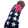 Load image into Gallery viewer, Sausage Dog Box Dachshund Flag Jumper
