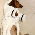 Load image into Gallery viewer, CLEARANCE - Sausage Dog Box, Dachsund Dressing Gown / Bath Robe