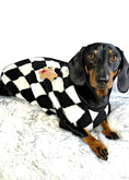 Load image into Gallery viewer, CLEARANCE - Sausage Dog Box Dachshund Teddy Bear Waistcoat - Black