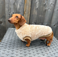 Load image into Gallery viewer, Butterscotch Beige Dachshund Snuggle Fleece - Sausage Dog Box Jumper