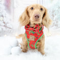 Load image into Gallery viewer, ‘Meanie Weenie’ Red Anti-Rub Dachshund Christmas Harness - Sausage Dog Box