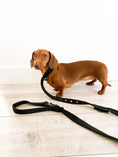 Load image into Gallery viewer, Anti Theft Lock Dog Lead And Collar