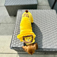 Load image into Gallery viewer, Sausage Dog Outfit - Lion Costume