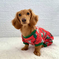 Load image into Gallery viewer, Merry Slothmas Dachshund Christmas Pj Onesie Outfit