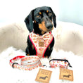Load image into Gallery viewer, Adjustable Harness - Saucy Sausage