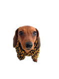 Load image into Gallery viewer, CLEARANCE - Sausage Dog Box Dachshund Cheetah Outfit