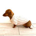 Load image into Gallery viewer, Sausage Dog Box Oatmeal Cosy Cable Knit Dachshund Jumper