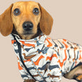 Load image into Gallery viewer, Sophisticated Sausage Four Legged Rain Mac 2-in-1 Jacket / Puddle Suit