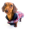 Load image into Gallery viewer, Dachshund Coat Reversible Plaid Red Sausage Dog Jacket