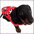 Load image into Gallery viewer, Sausage Dog Box Dachshund PJ Jumper - Red Panda