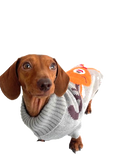 Load image into Gallery viewer, Sausage Dog Box Dachshund Reindeer Christmas Jumper