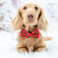 Load image into Gallery viewer, ‘Mr Meanie’ Red Dachshund Christmas Bow Tie - Sausage Dog Box