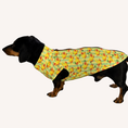 Load image into Gallery viewer, Sicilian Sausage Dachshund Cooling Tee – Zip Back