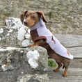 Load image into Gallery viewer, Lavender Fields Waterproof Dachshund Harness Fleece | Sausage Dog Box DoxieDri