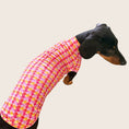 Load image into Gallery viewer, Tutti Fruitti DoxieCool UPF 30+ cooling vest for dachshunds