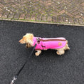 Load image into Gallery viewer, Coco Flamingo Waterproof Dachshund Harness Fleece | DoxieDri Step-In Jumper