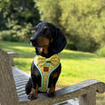 Load image into Gallery viewer, Sicilian Sausage DoxieLite Sausage Dog Anti-Rub Harness