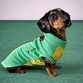 Load image into Gallery viewer, Side view of a dachshund wearing the Champion Pup DoxieDri waterproof harness fleece.