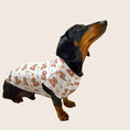 Load image into Gallery viewer, Cute dachshund clothes on black and tan mini sausage dog in honey bear print