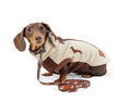 Load image into Gallery viewer, Brown Dachshund wearing a cream DoxieDri waterproof fleece jumper with matching DoxieFlex BioThane collar and lead