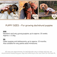 Load image into Gallery viewer, DoxieDri Dachshund puppy size guide for XXS and XS, with age and weight guidance to help choose the best fit