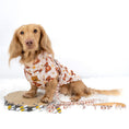 Load image into Gallery viewer, Honey Bear Sausage Dog Fleece Jumper - Long Dog Zipper
