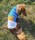 Load image into Gallery viewer, Sausage Dog Box Dachshund Giraffe Jumper