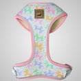 Load image into Gallery viewer, Daisy Balloon Dog Dachshund Anti-Rub Harness