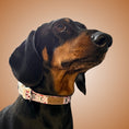 Load image into Gallery viewer, Pink Cow Adjustable Dachshund Dog Collar - Sausage Dog Box