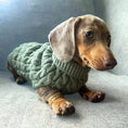 Load image into Gallery viewer, Forest Moss Luxury Cable Knit Dachshund Jumper - Sausage Dog Box