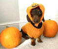 Load image into Gallery viewer, Sausage Dog Box Pumpkin Hat