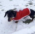 Load image into Gallery viewer, Sausage Dog Box Dachshund Christmas Santa Cape Outfit With Bells