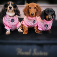 Load image into Gallery viewer, Sausage Dog Box Dachshund ‘Be Mine’ Love Heart Pink Jumper
