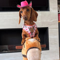 Load image into Gallery viewer, Howdy Cowgirl Pink Cow Dachshund Dog Harness AntiRub & Adjustable