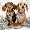 Load image into Gallery viewer, Frosty Sausage Christmas Sailor Bow