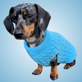 Load image into Gallery viewer, Frozen Blue Luxury Cable Knit Dachshund Jumper - Sausage Dog Box