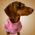 Load image into Gallery viewer, Pink Dachshund Christmas Second Skin Tee - ‘Dashin’ Through The Dough’