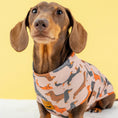Load image into Gallery viewer, Beige Sausage Dog DoxieCool Dachshund Cooling Tee +30 Sun Protection Dog Vest
