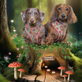 Load image into Gallery viewer, Shroom Dog Anti-Rub Sausage Dog Harness