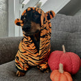 Load image into Gallery viewer, Dachshund Outfit - Tiger Cub