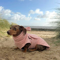 Load image into Gallery viewer, Cotton Candy DoxieRobe - Bamboo Dachshund Drying Robe