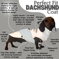 Load image into Gallery viewer, Sausage Dog Coat - Glow Getter - Reflective Light Up LED Dachshund Coat