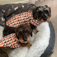 Load image into Gallery viewer, Beige Sophisticated Sausage Long Dog Zipper Dachshund Fleece Jumper / Sweater